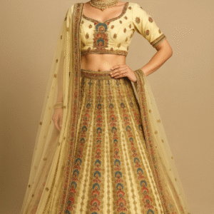 Choli - DCH59117